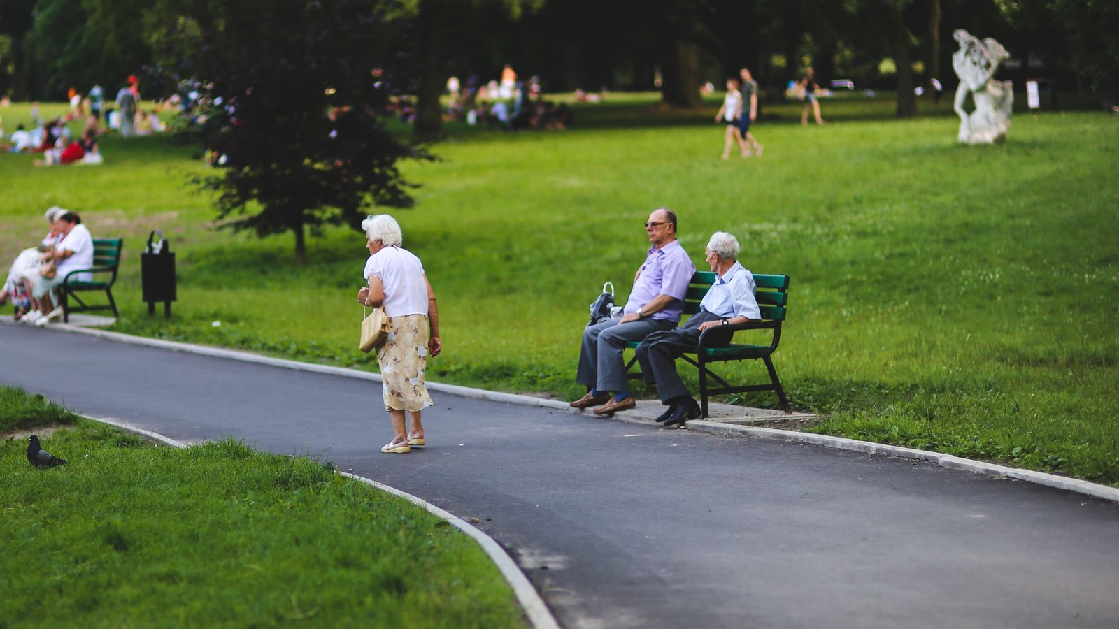Adultes âgés discutant sur des bancs dans un parc arboré